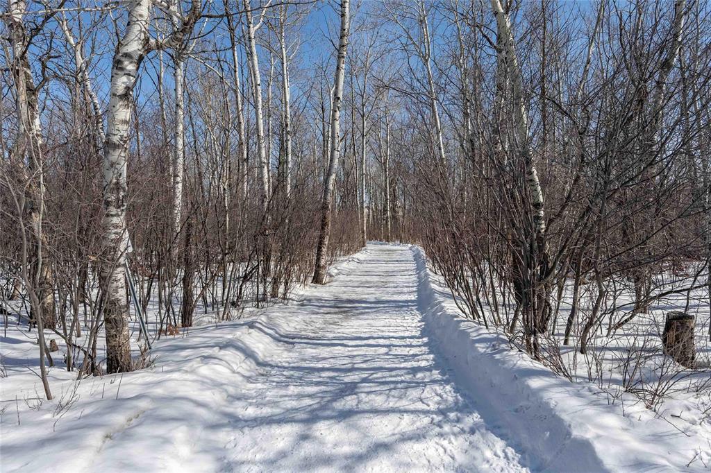 52 Aspen Forest Point, Winnipeg, Manitoba  R3Y 0B7 - Photo 35 - 202605341