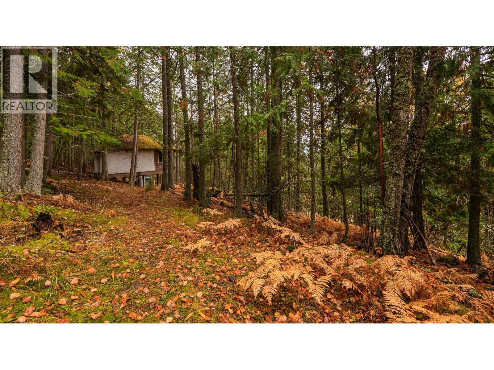 14448 3a Highway, Gray Creek, British Columbia  V0B 1S0 - Photo 17 - 10369291