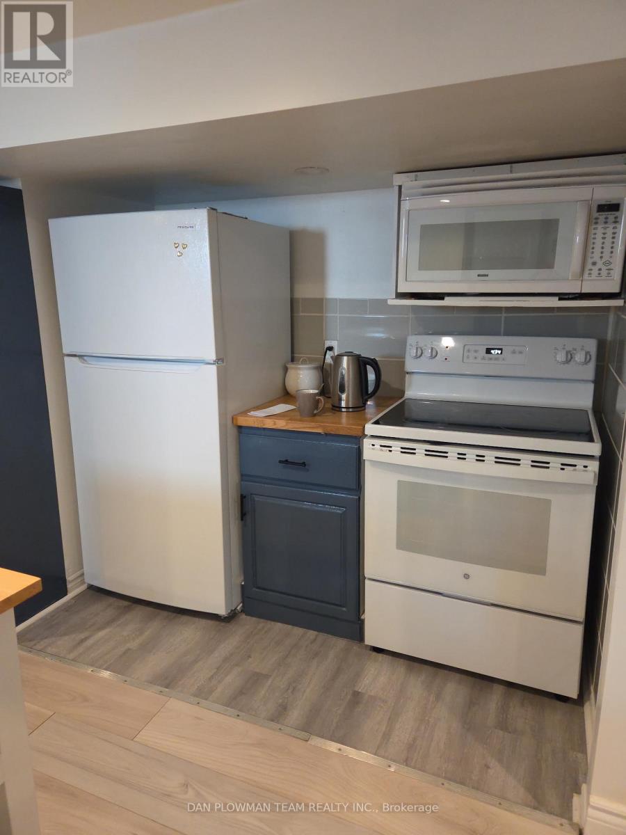 BASEMENT - 131 CENTRAL PARK BOULEVARD N, Oshawa, Ontario