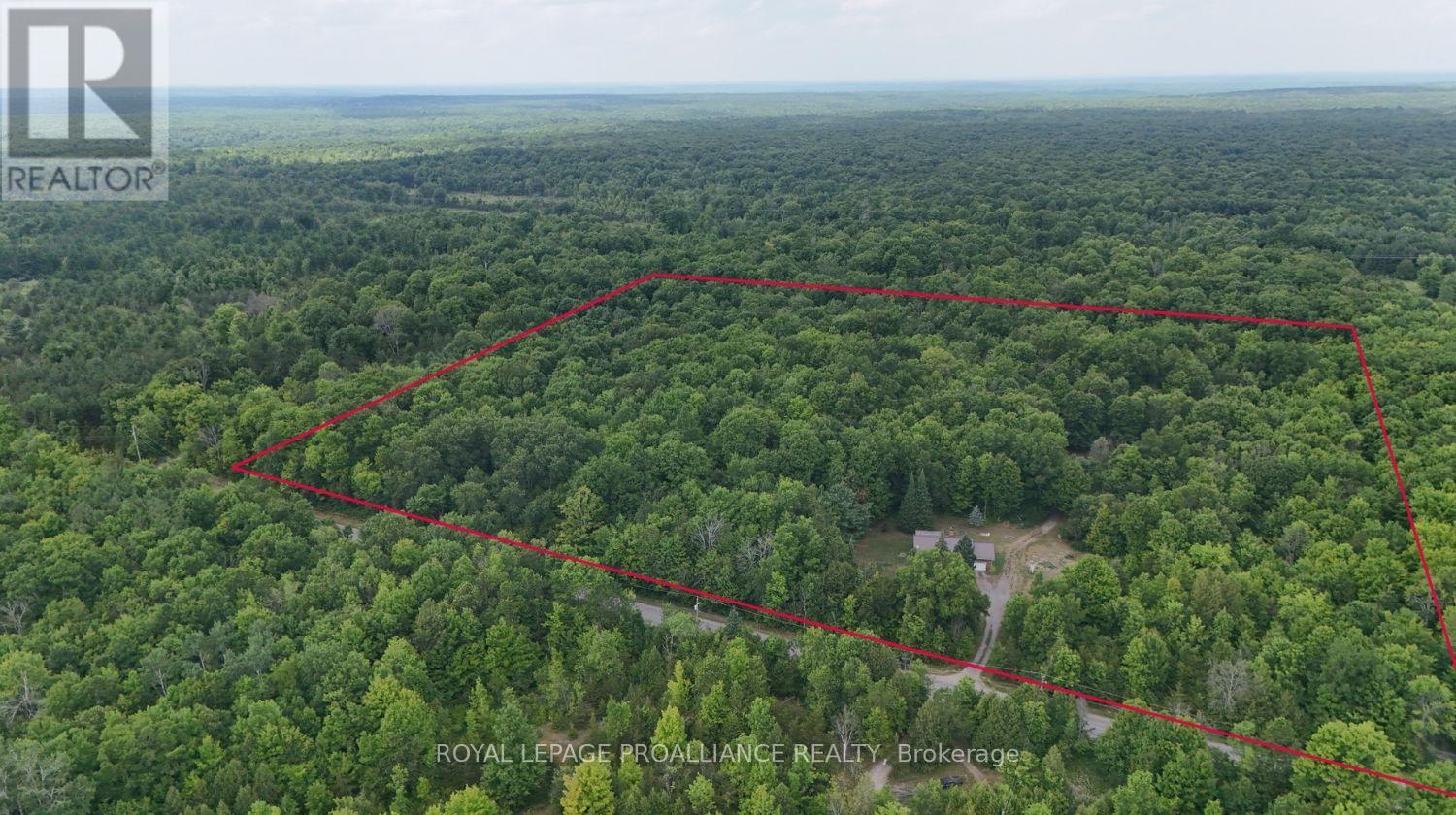 2201 Moneymore Road, Tweed (Hungerford (Twp)), Ontario  K0K 2Y0 - Photo 5 - X12967170