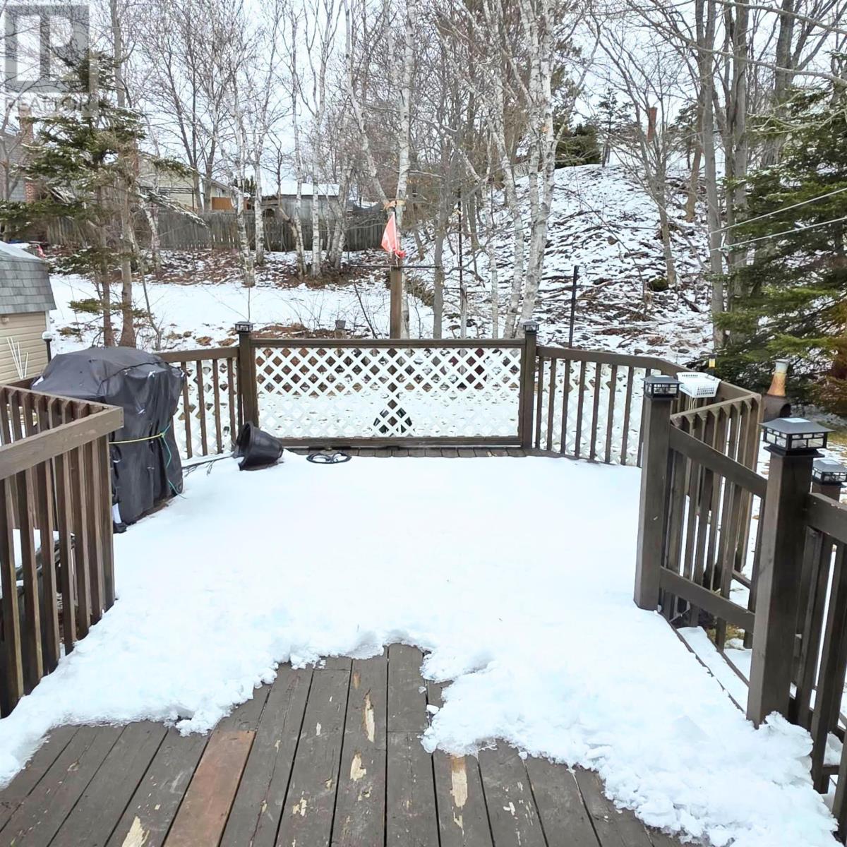 99 Ranna Drive, Sydney, Nova Scotia  B1P 3Y5 - Photo 31 - 202606554