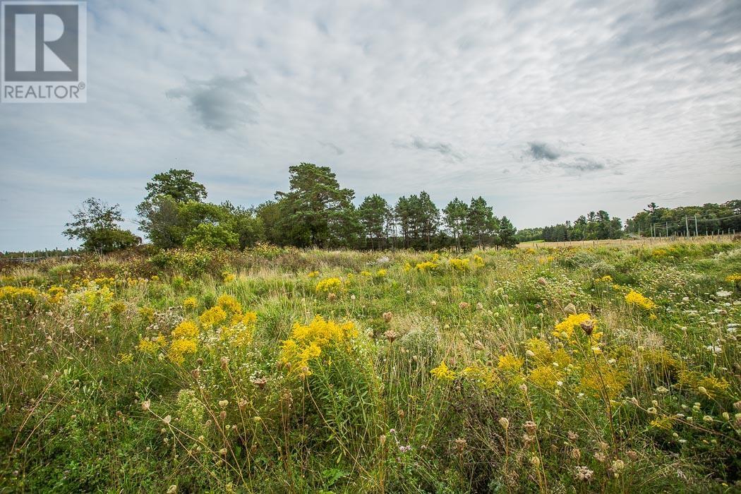 Maclennan Road/hwy 17 SE Corner, Property 5, Township Of Tarbutt, Ontario P0R 1E0 - Photo 16 - SM252802