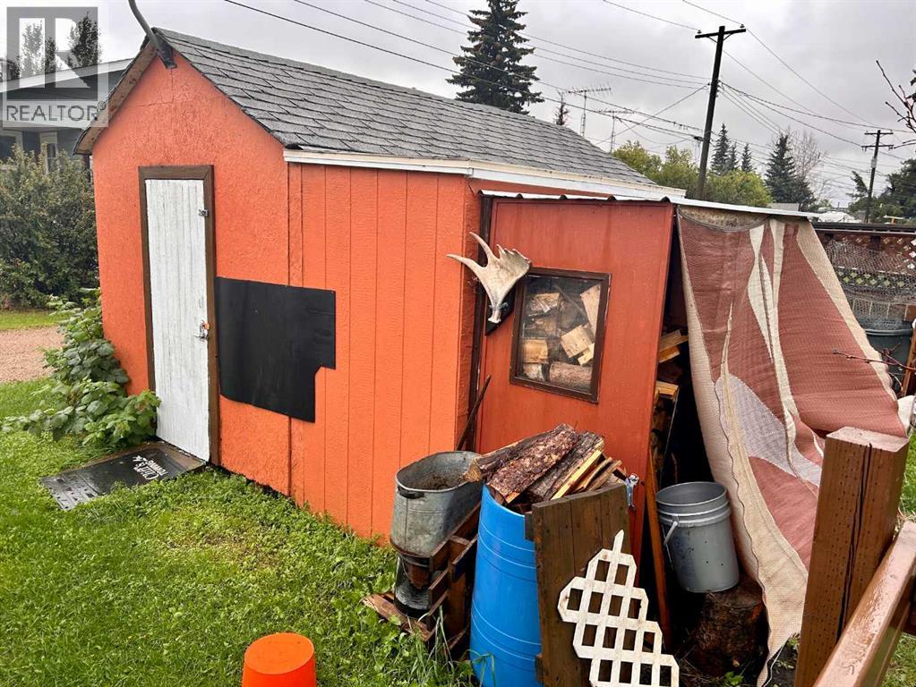 5047 48 Street, Mannville, Alberta  T0B 2W0 - Photo 17 - A2231549