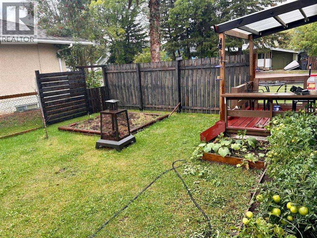 5047 48 Street, Mannville, Alberta  T0B 2W0 - Photo 14 - A2231549