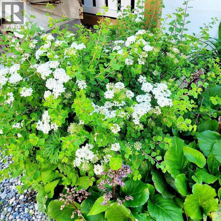 72 Owens Close, Red Deer, Alberta  T4N 6Y2 - Photo 8 - A2294955