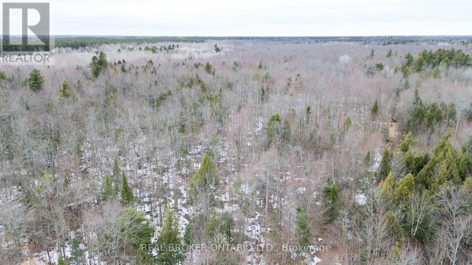 000 Dukelow Road, Augusta, Ontario  K0E 1X0 - Photo 10 - X12967268