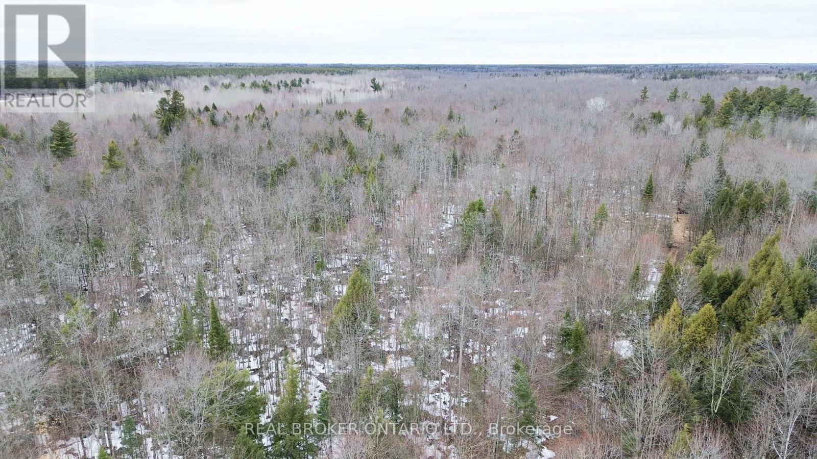 000 Dukelow Road, Augusta, Ontario  K0E 1X0 - Photo 13 - X12967268