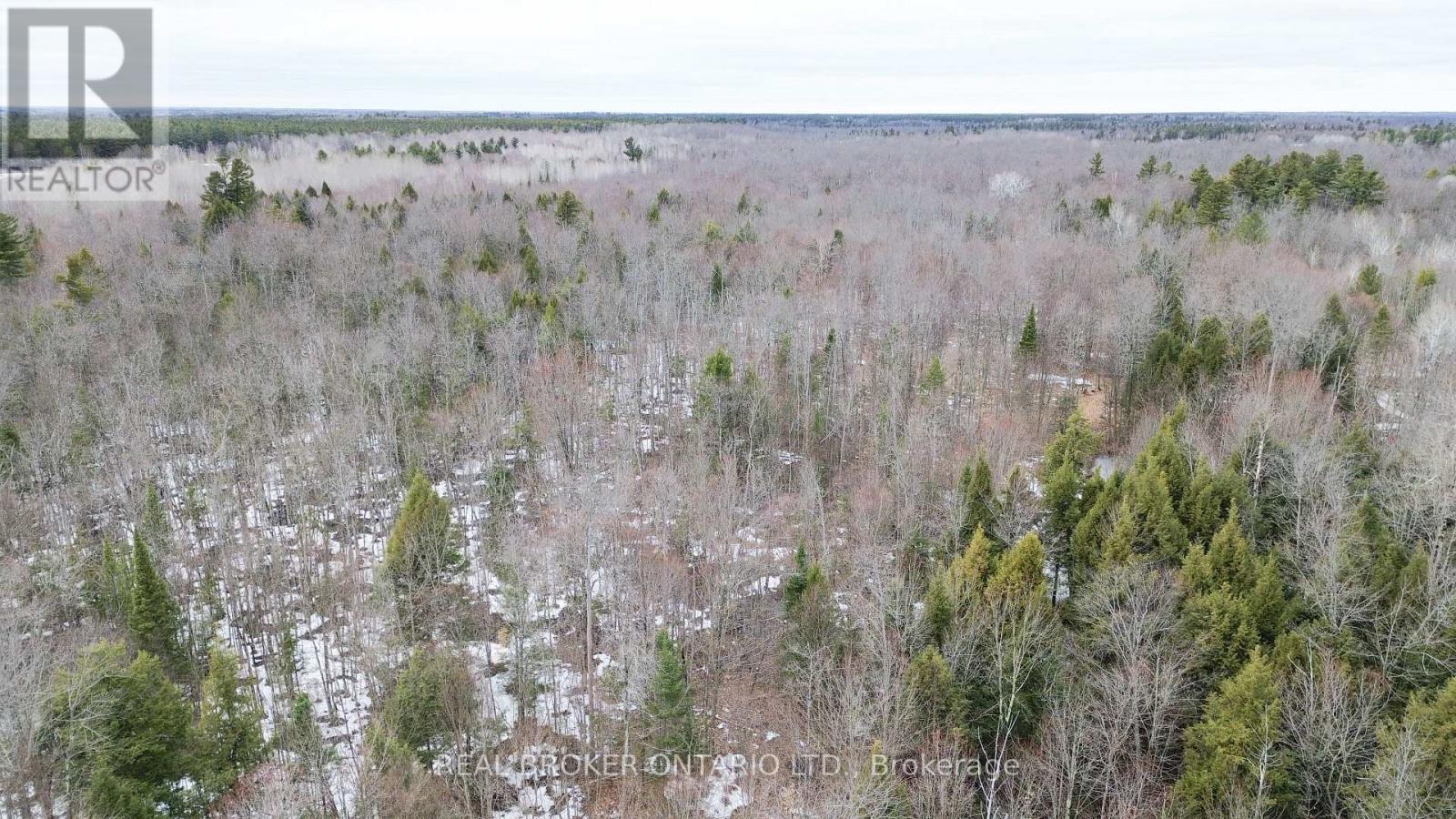 000 Dukelow Road, Augusta, Ontario  K0E 1X0 - Photo 16 - X12967268