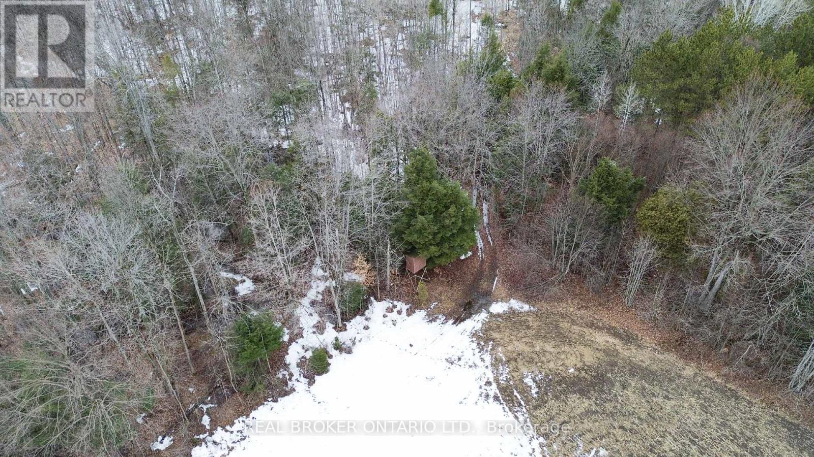 000 Dukelow Road, Augusta, Ontario  K0E 1X0 - Photo 4 - X12967268