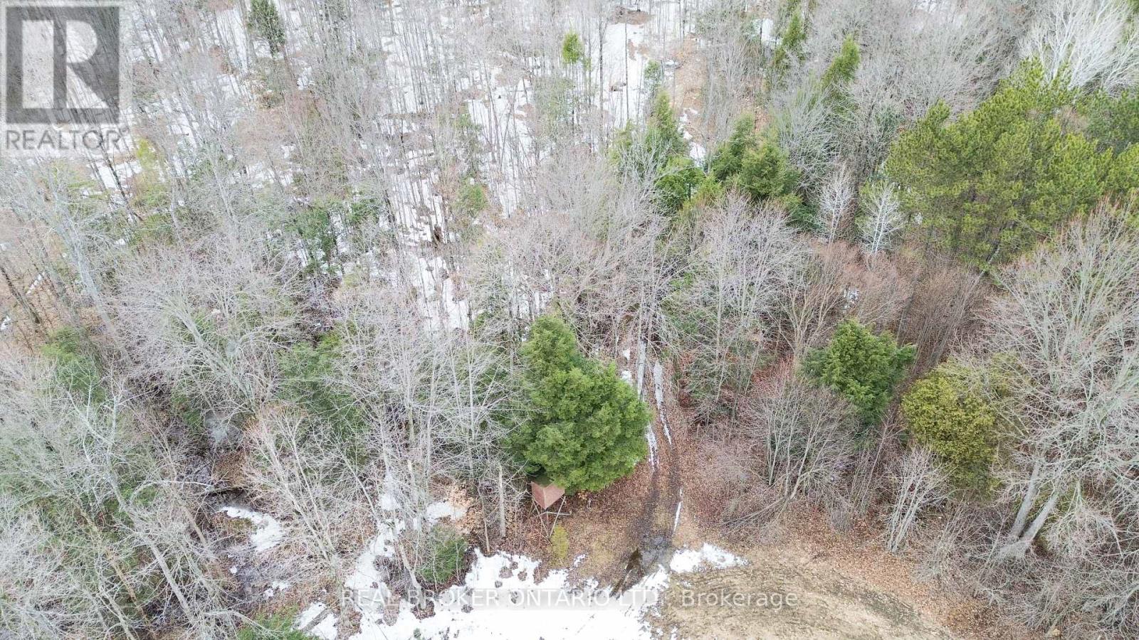 000 Dukelow Road, Augusta, Ontario  K0E 1X0 - Photo 5 - X12967268