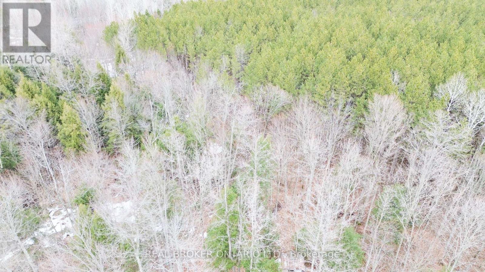 000 Dukelow Road, Augusta, Ontario  K0E 1X0 - Photo 6 - X12967268