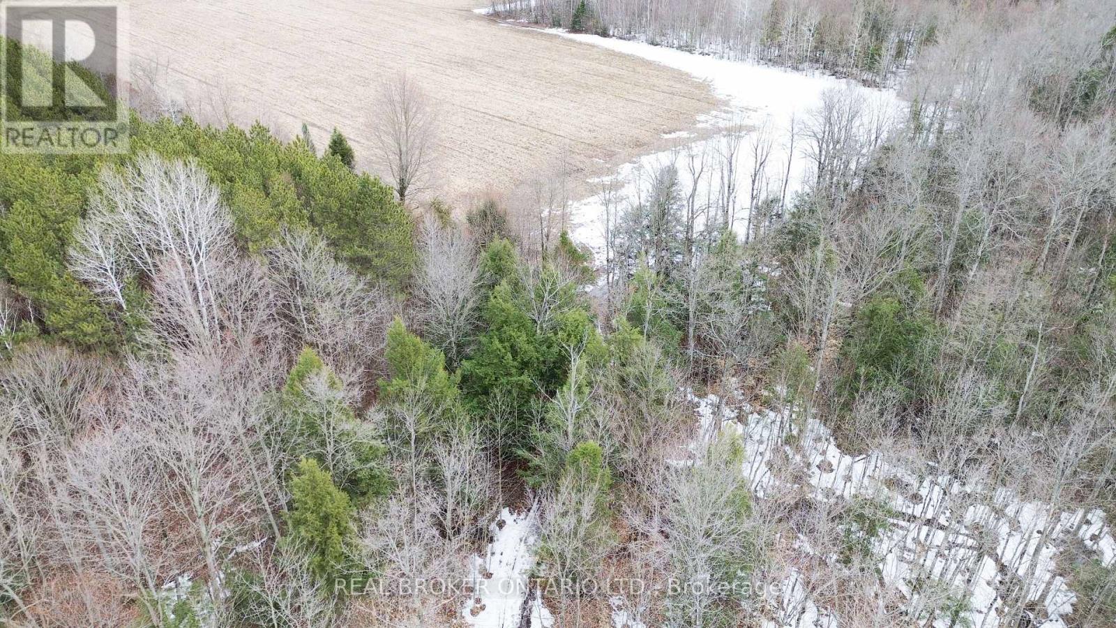 000 Dukelow Road, Augusta, Ontario  K0E 1X0 - Photo 7 - X12967268