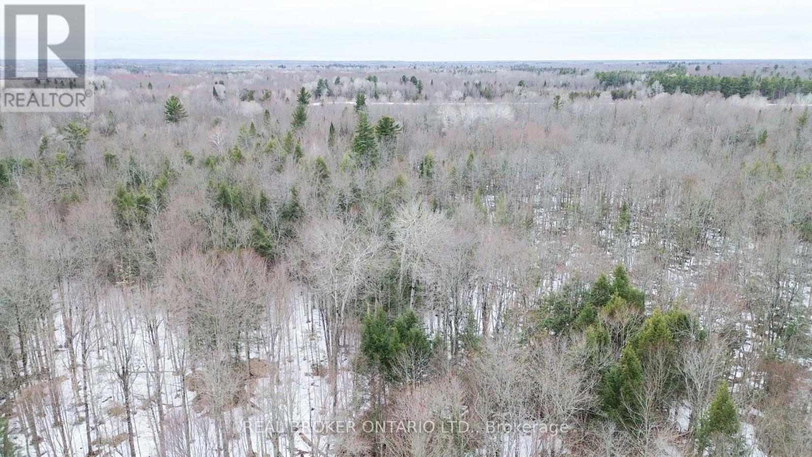 000 Dukelow Road, Augusta, Ontario  K0E 1X0 - Photo 9 - X12967268