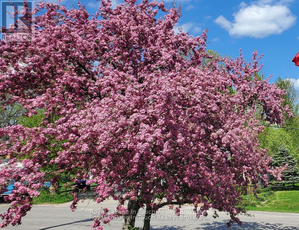 8 Cyril Martin Place, Severn, Ontario  L0K 1E0 - Photo 32 - S12809396