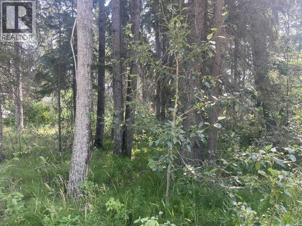 Lot 804 Brightsand Crescent, Brightsand Lake, Saskatchewan  S0M 0H0 - Photo 4 - A2299285