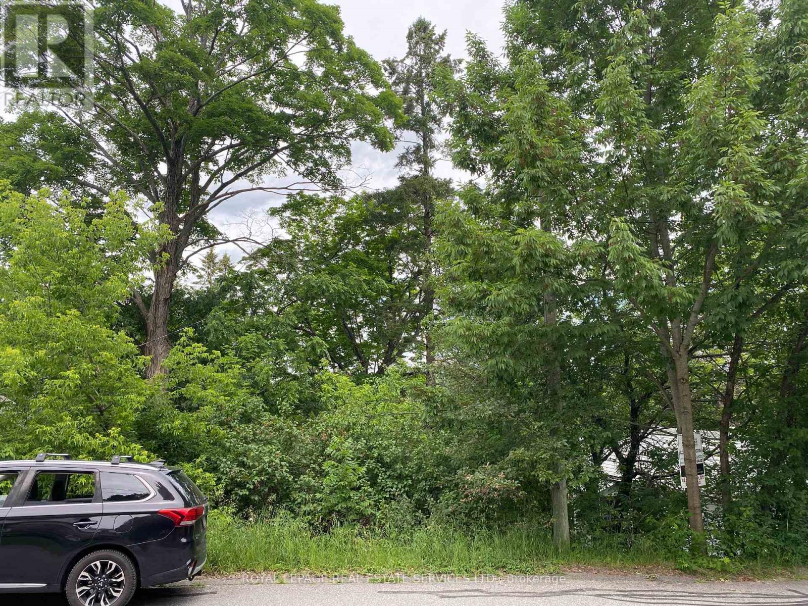 16 Cora Street E, Huntsville, Ontario  P1H 1P6 - Photo 6 - X12660394