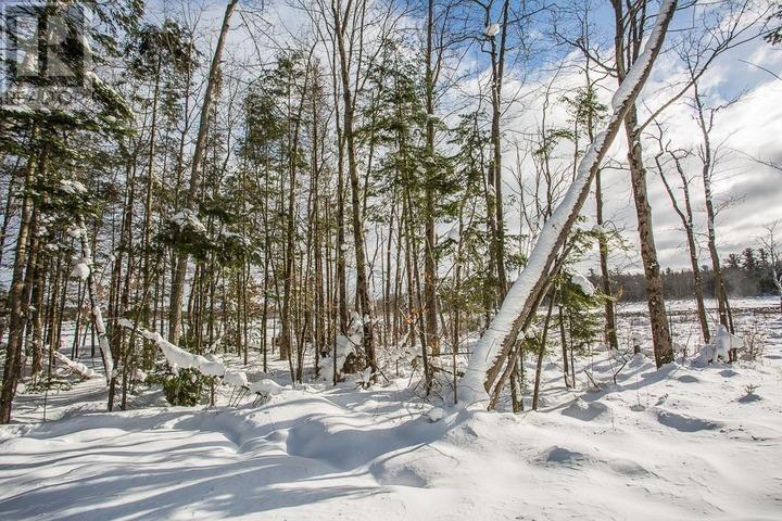 279 Finns Bay Rd N, Echo Bay, Ontario  P0S 1C0 - Photo 22 - SM260424