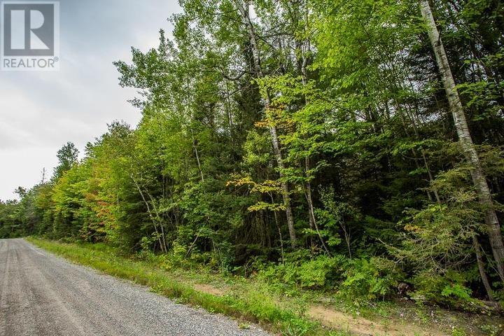 Trunk Road At Highway 17 East, Huron Shores, Ontario  P0R 1L0 - Photo 24 - SM260544