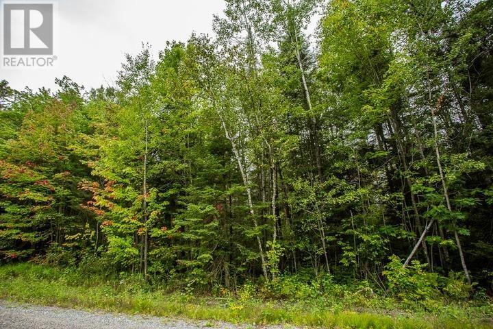 Trunk Road At Highway 17 East, Huron Shores, Ontario  P0R 1L0 - Photo 25 - SM260544