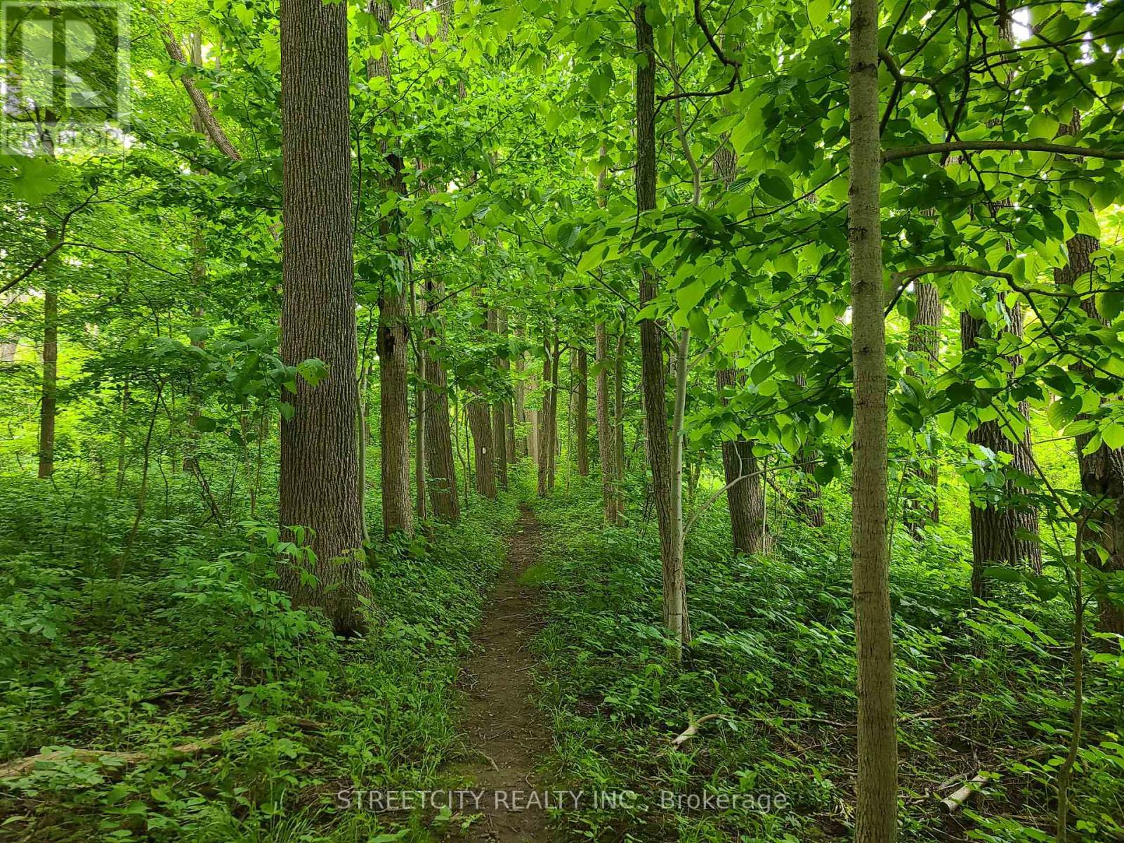 38803 Talbot Line, Southwold, Ontario  N5P 3T2 - Photo 9 - X12966874