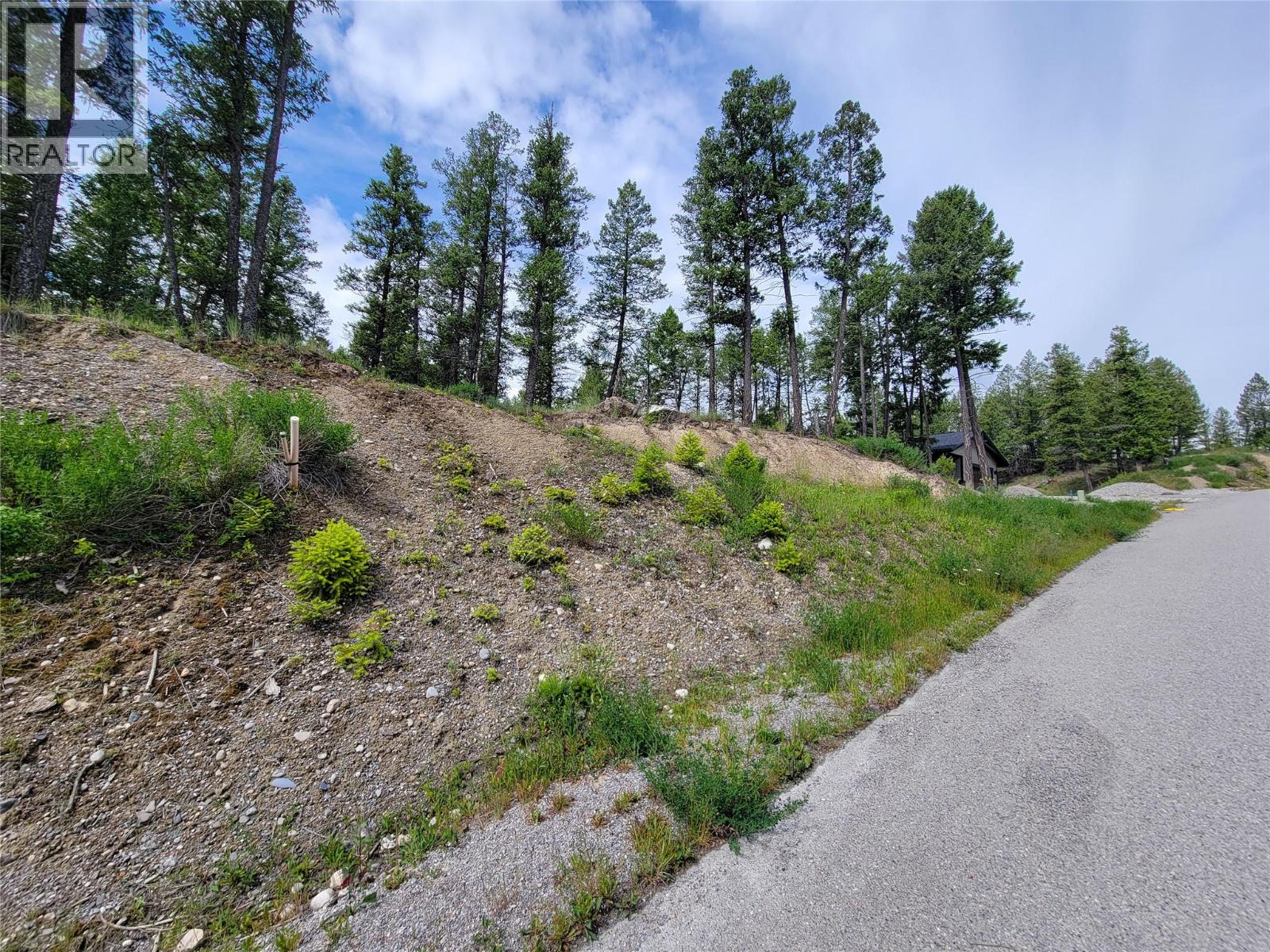 Lot 76 Copper Point Way, Windermere, British Columbia  V0B 2L0 - Photo 29 - 10382252