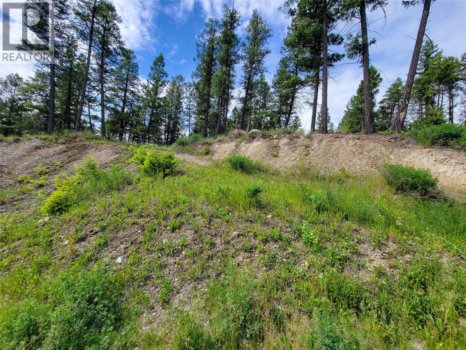 Lot 76 Copper Point Way, Windermere, British Columbia  V0B 2L0 - Photo 31 - 10382252