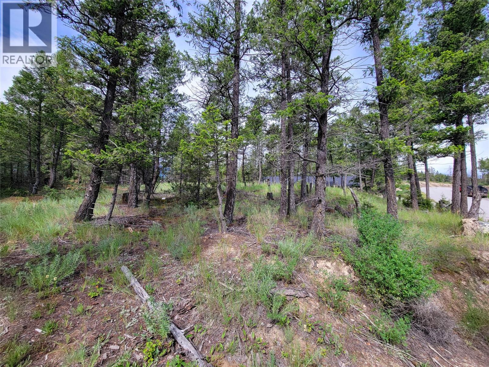 Lot 76 Copper Point Way, Windermere, British Columbia  V0B 2L0 - Photo 28 - 10382252