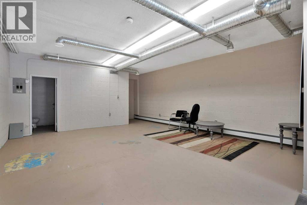 4407 45a Avenue, Rocky Mountain House, Alberta  T4T 1B2 - Photo 28 - A2273603