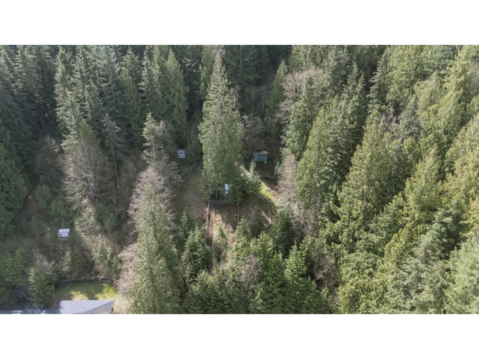 29310 Dewdney Trunk Road, Mission, British Columbia V4S 1B6 - Photo 35 - R3107841