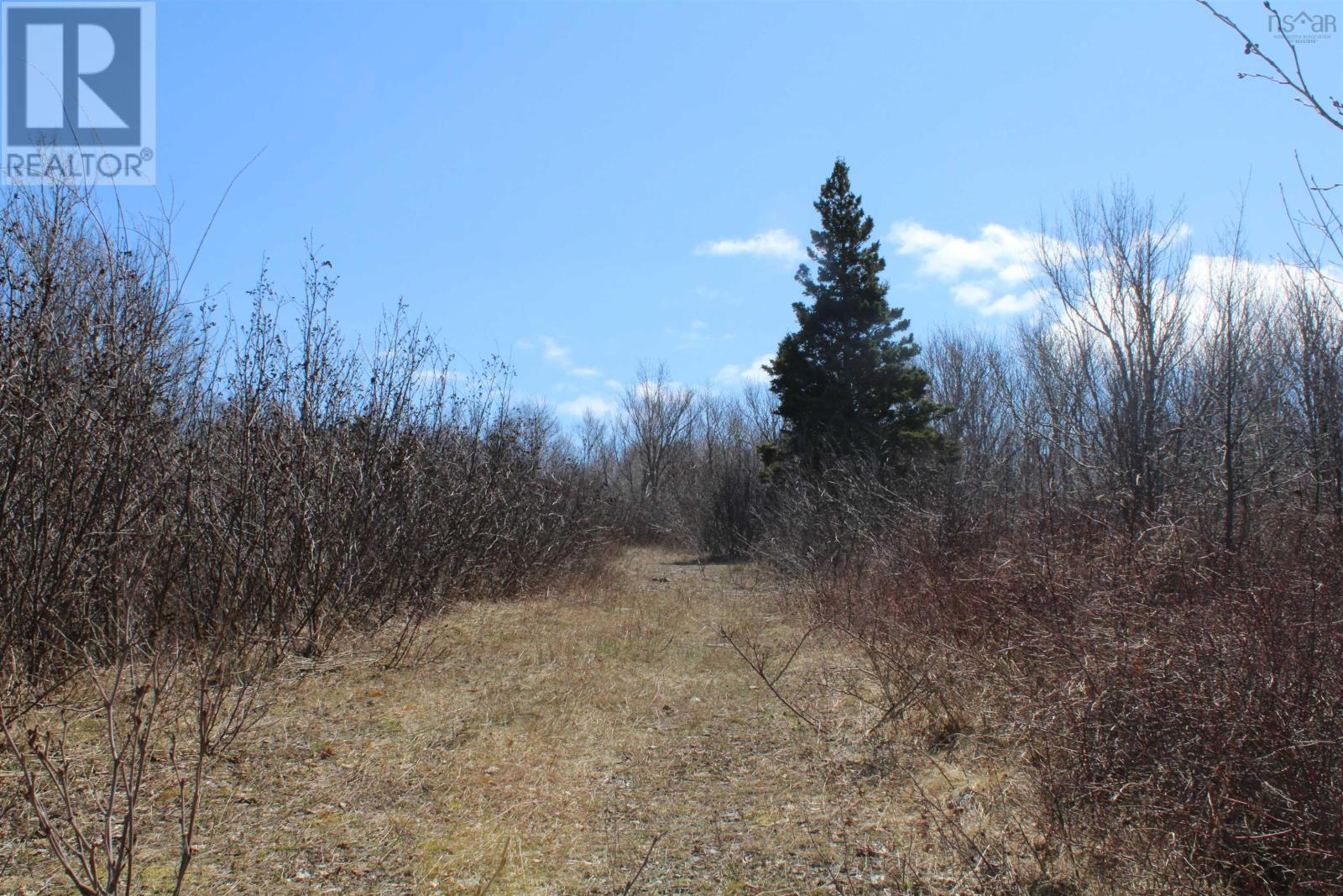 Lot Granville Road, Victoria Beach, Nova Scotia  B0S 1A0 - Photo 12 - 202605379