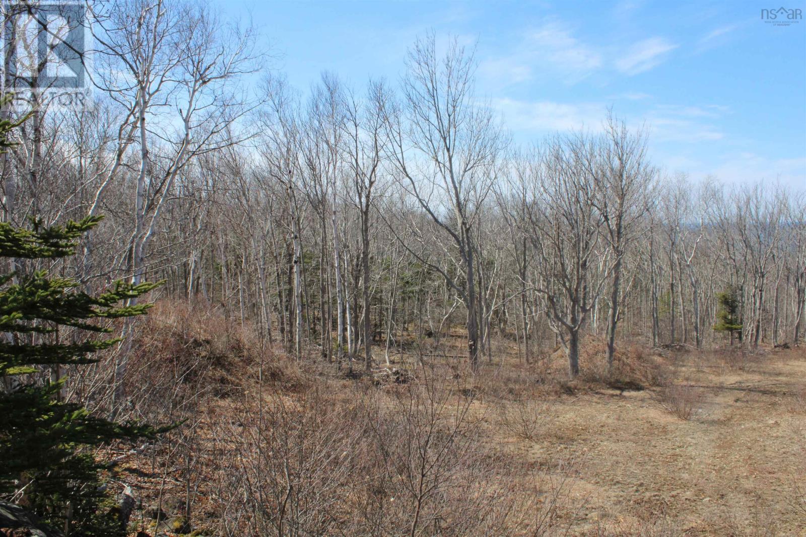 Lot Granville Road, Victoria Beach, Nova Scotia  B0S 1A0 - Photo 19 - 202605379