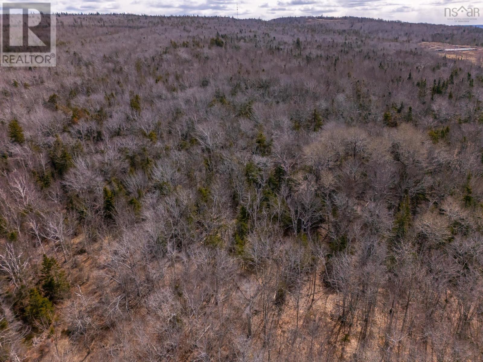 Lot Granville Road, Victoria Beach, Nova Scotia  B0S 1A0 - Photo 7 - 202605379