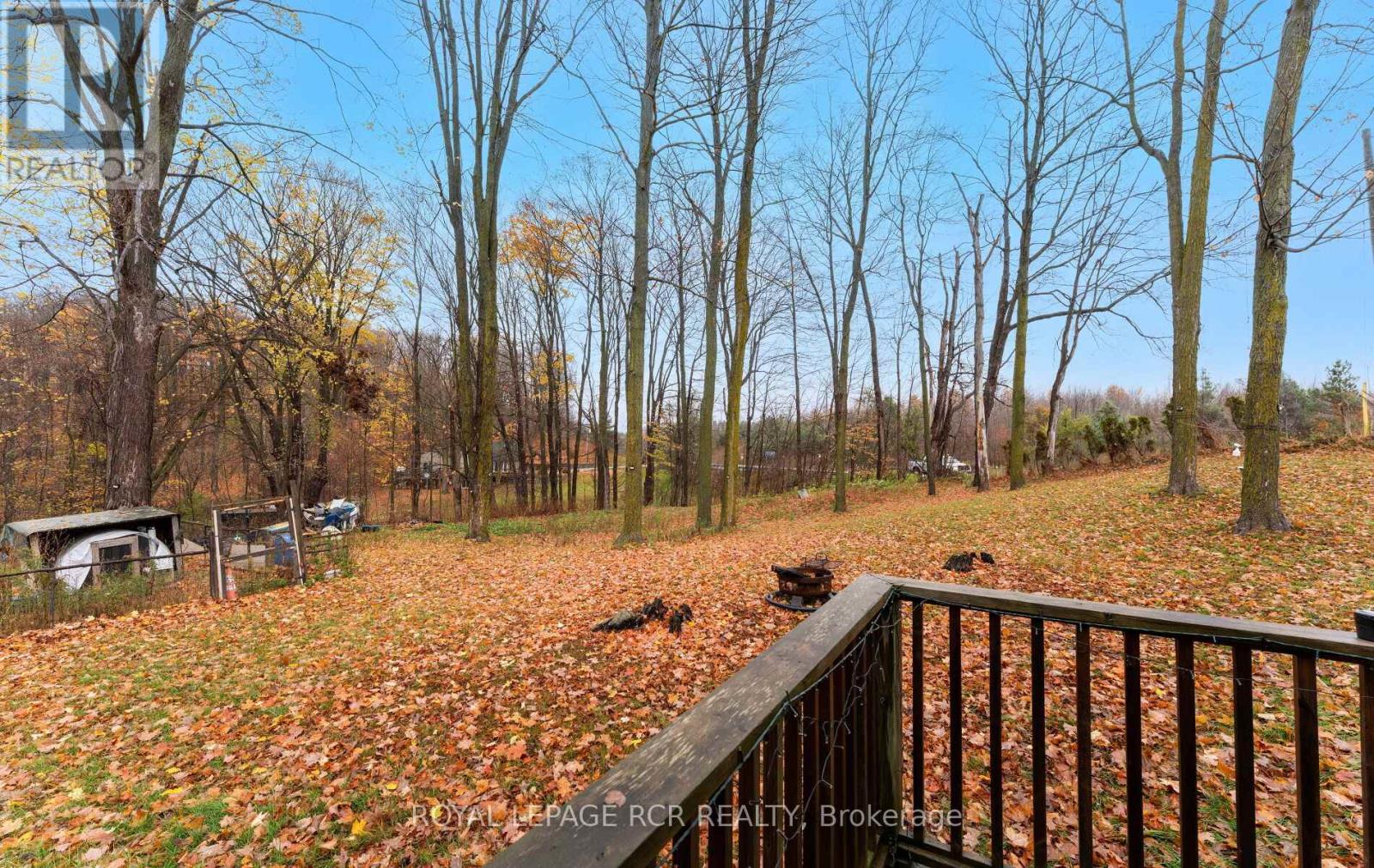 1008 Tottenham Road, New Tecumseth, Ontario  L0G 1W0 - Photo 29 - N12507972