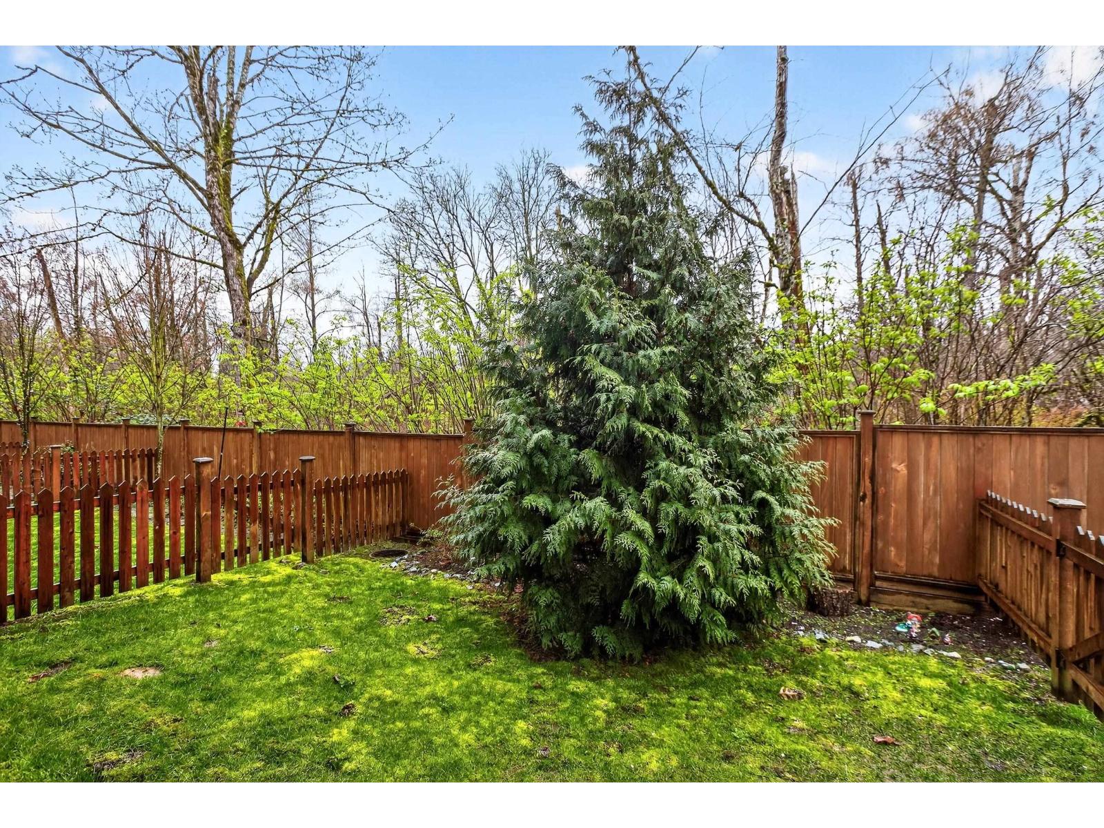 45 19501 74 Avenue, Surrey, British Columbia  V4N 6V7 - Photo 31 - R3107832