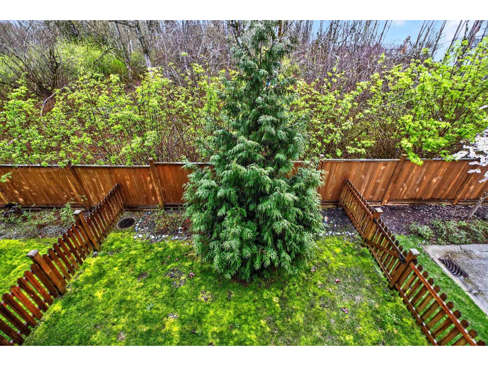 45 19501 74 Avenue, Surrey, British Columbia  V4N 6V7 - Photo 18 - R3107832