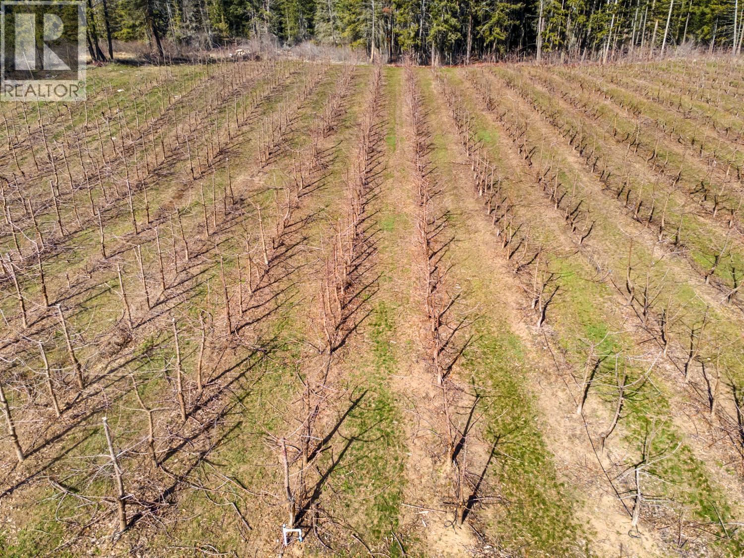 3806 38th Avenue, Erickson, British Columbia  V0B 1G1 - Photo 25 - 10378843