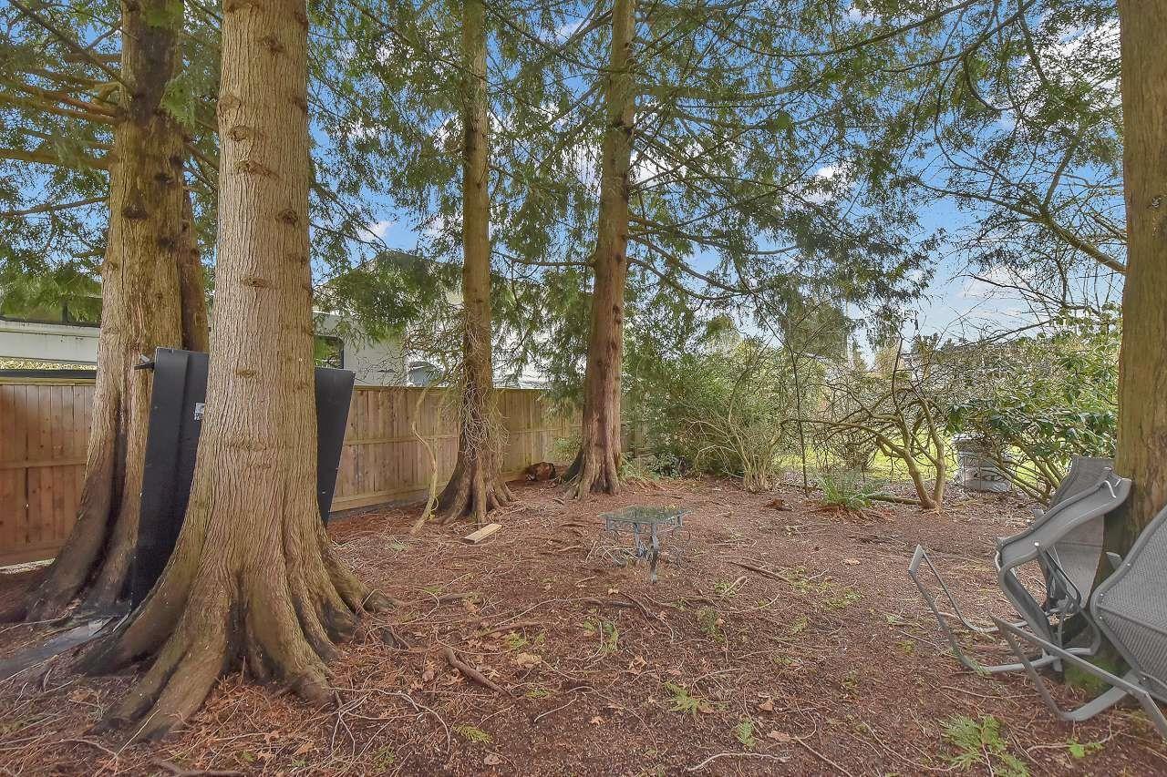 11140 Partridge Crescent, Surrey, British Columbia  V3R 5B2 - Photo 36 - R3107760