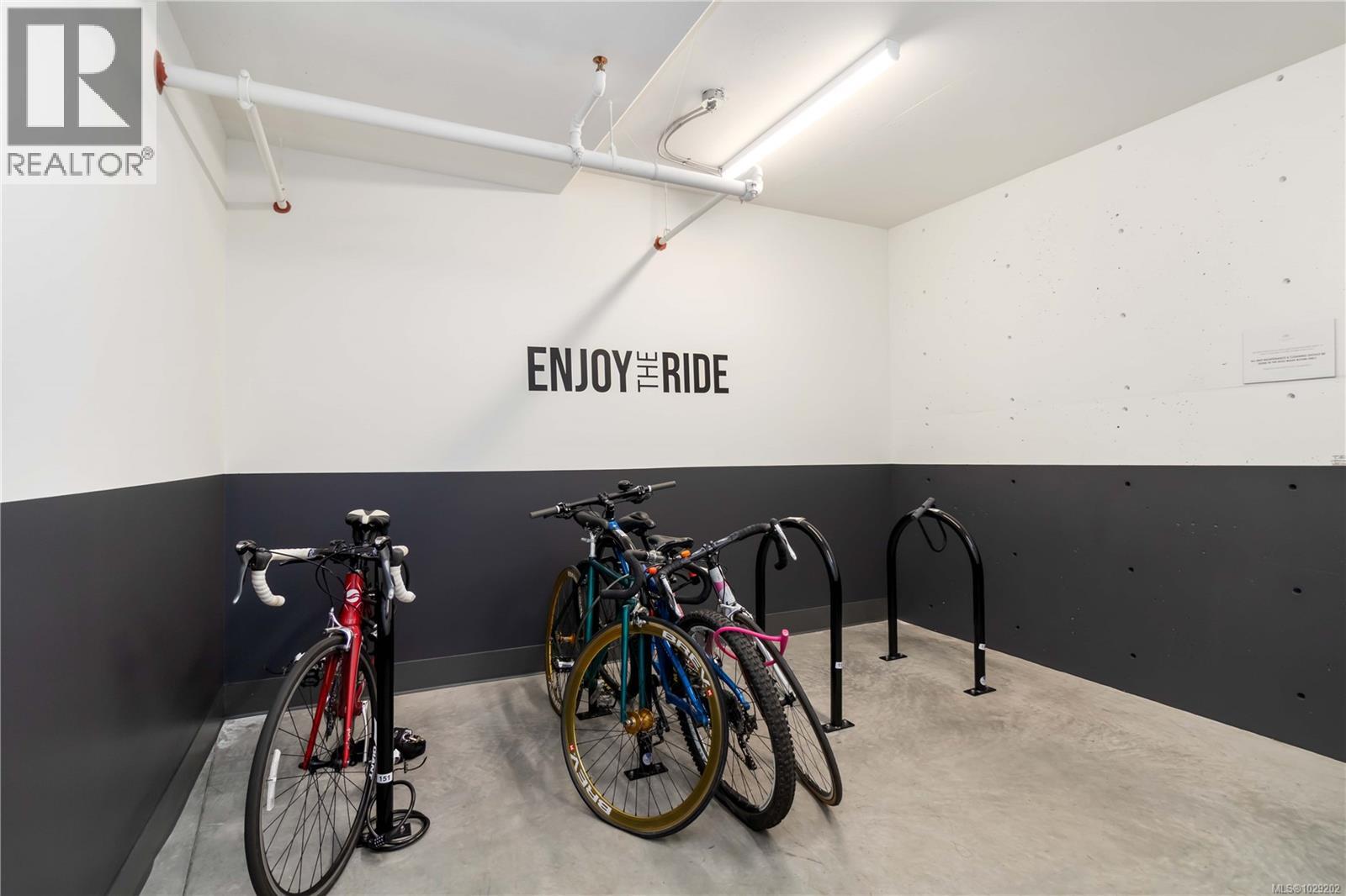 409 1033 Cook St, Victoria, British Columbia  V8V 0E1 - Photo 24 - 1029202