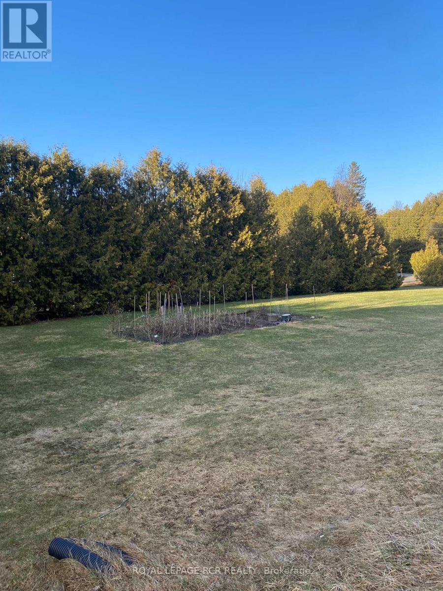 6 Margaret Avenue, Adjala-Tosorontio, Ontario  L0M 1J0 - Photo 11 - N12967756