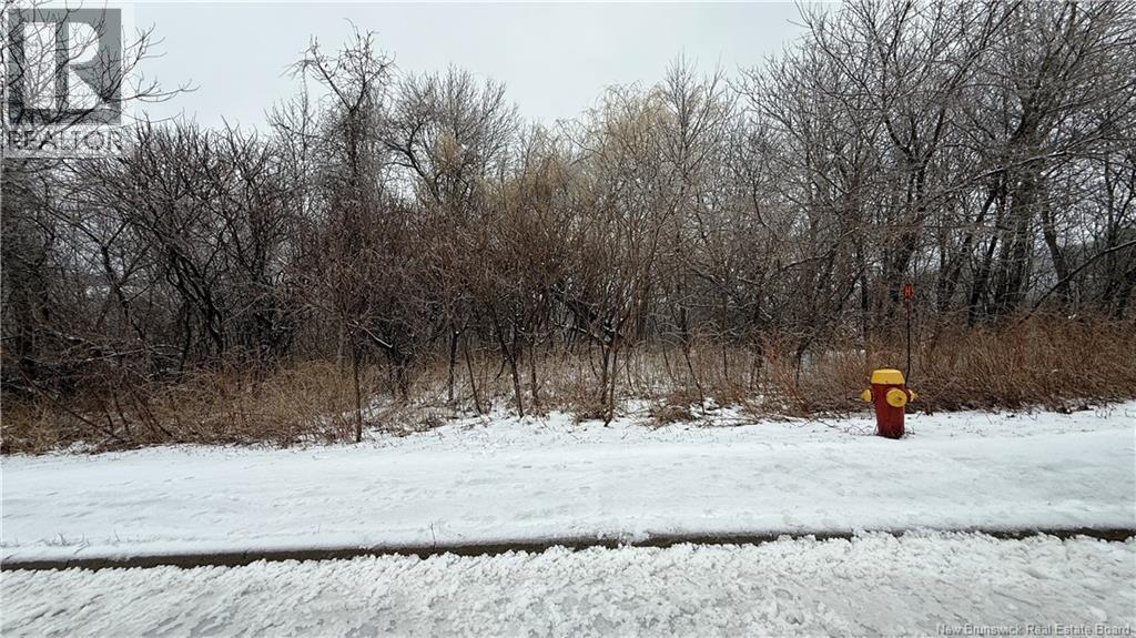 Lot Montieth Drive, Fredericton, New Brunswick  E3C 1L5 - Photo 6 - NB135976
