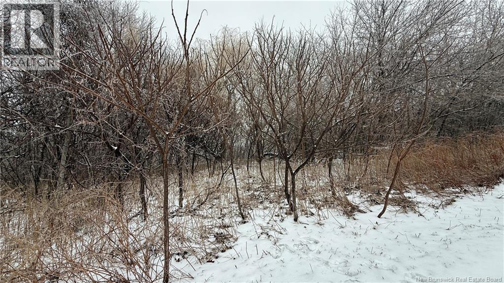 Lot Montieth Drive, Fredericton, New Brunswick  E3C 1L5 - Photo 8 - NB135976