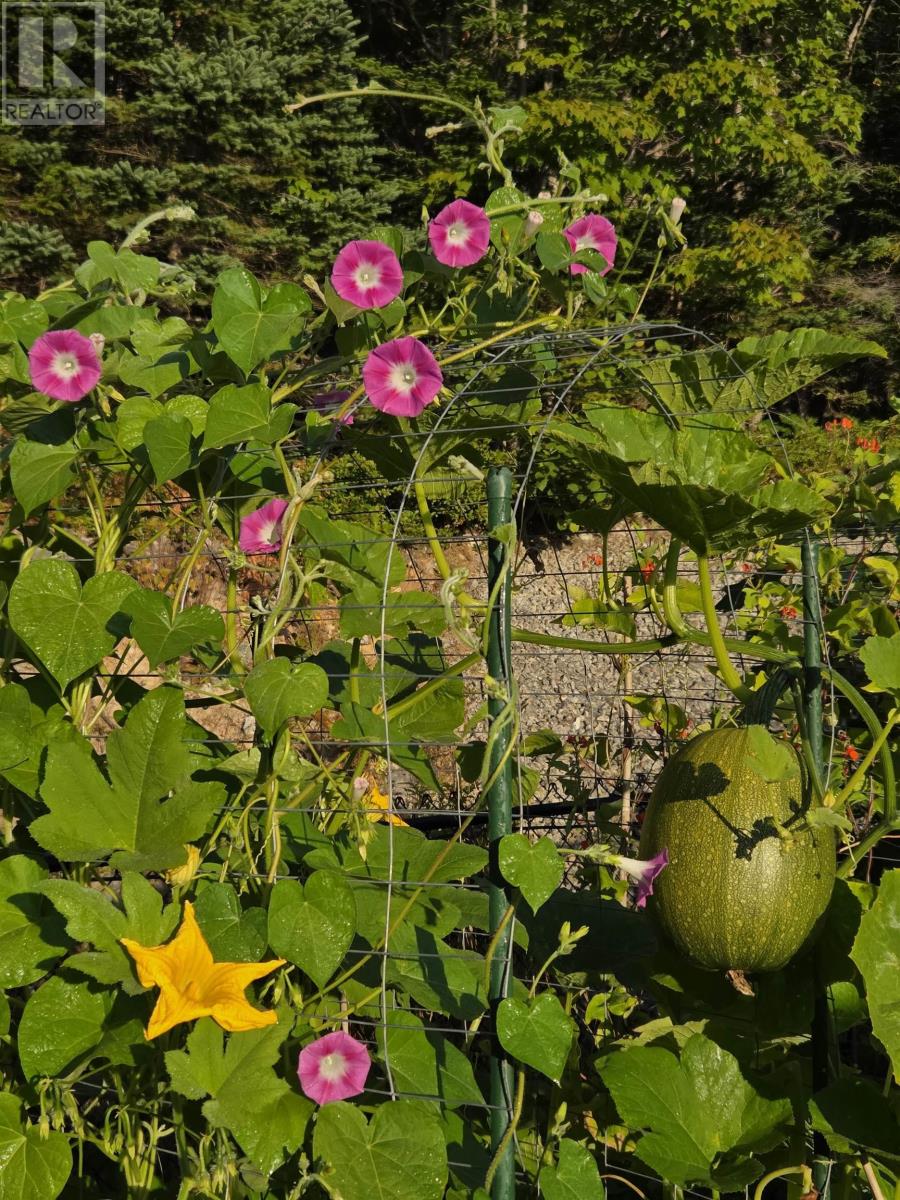 29 Sea Glass Drive, Simms Settlement, Nova Scotia  B0J 1T0 - Photo 20 - 202606432