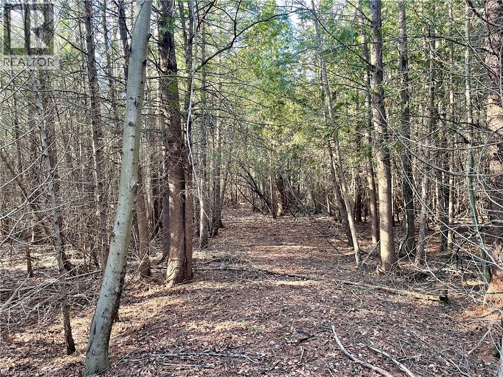 000 MAPLE GROVE Road, Scotland, Ontario