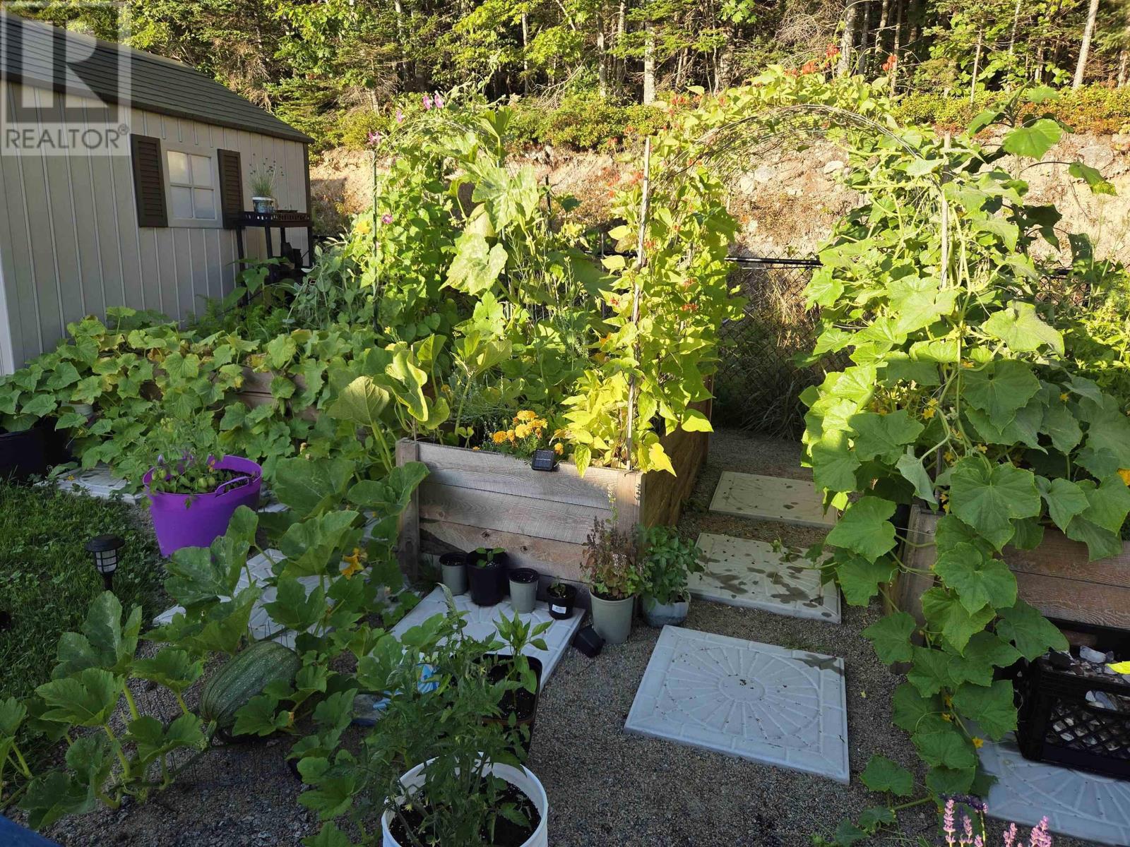 29 Sea Glass Drive, Simms Settlement, Nova Scotia  B0J 1T0 - Photo 23 - 202606432