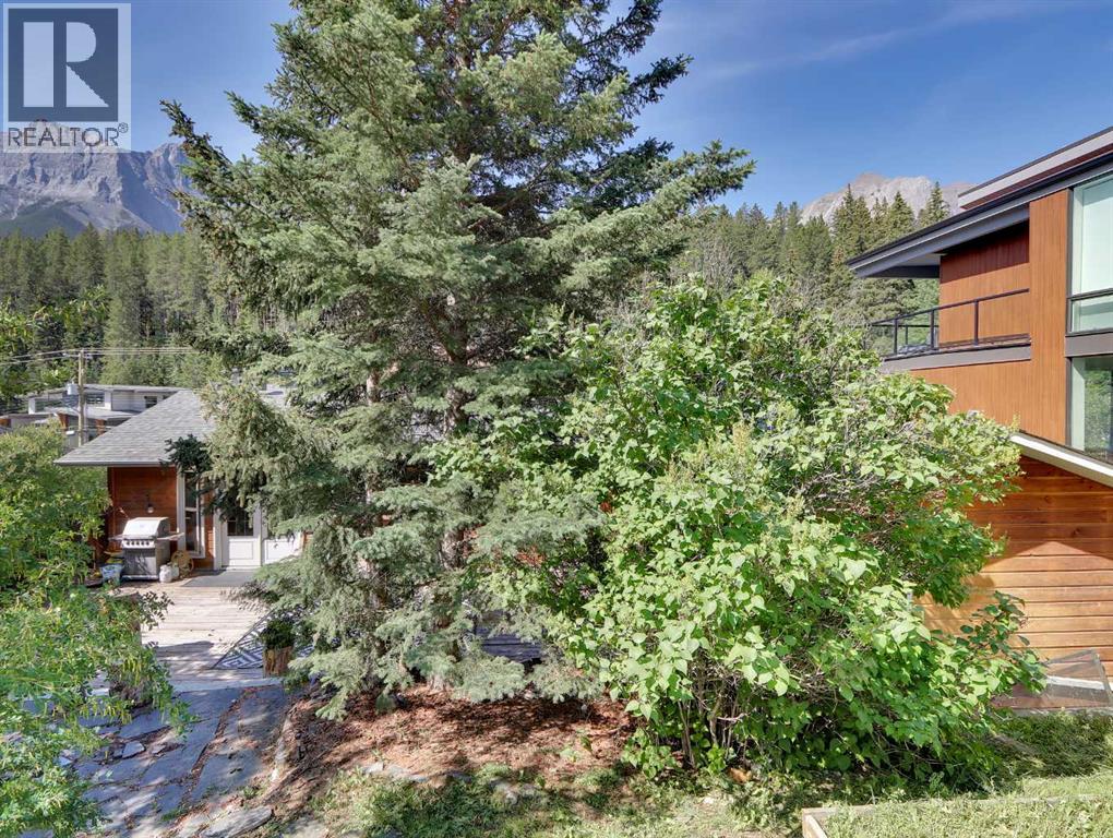252 Three Sisters Drive, Canmore, Alberta  T1W 2M4 - Photo 32 - A2239562