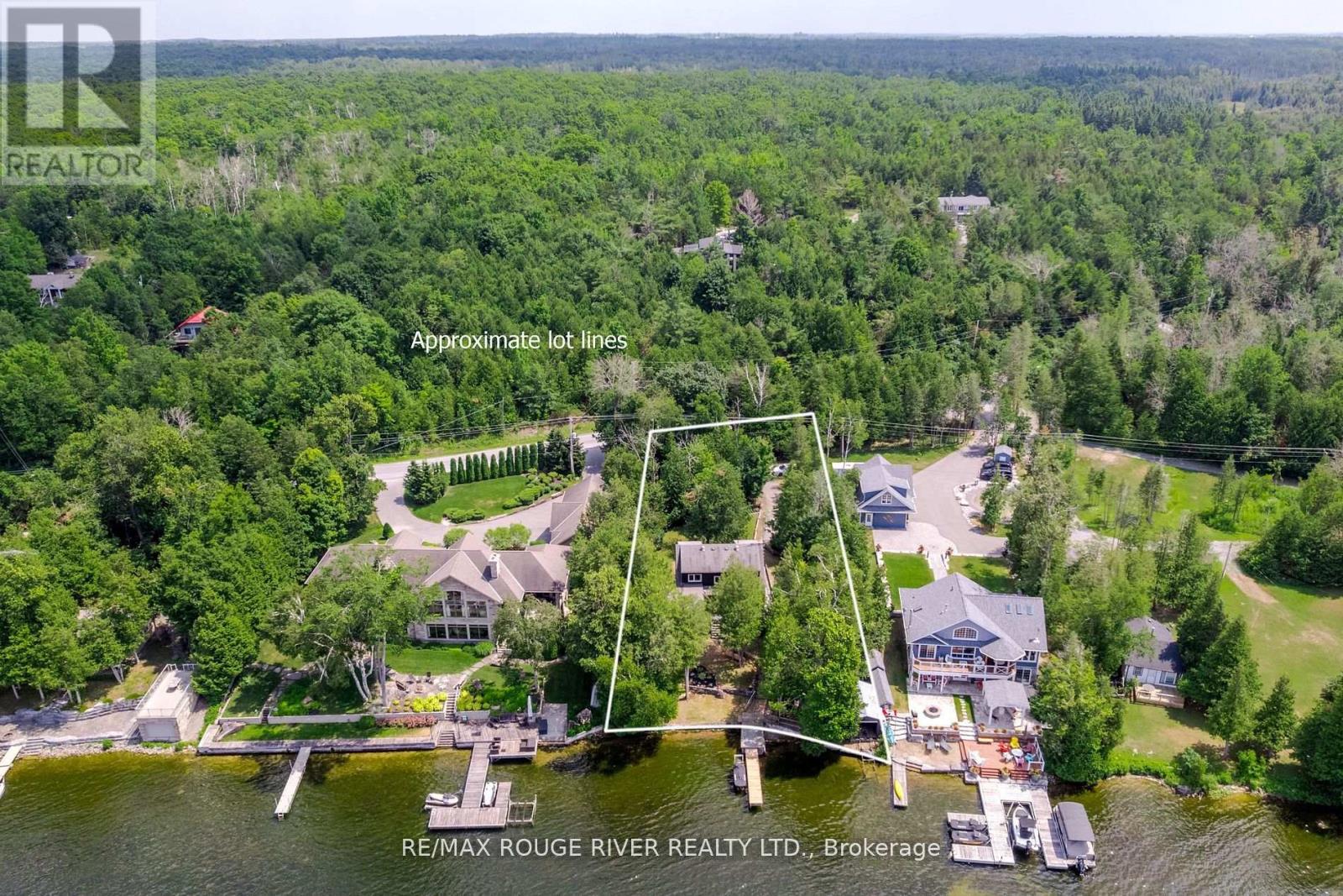 1280 Birchview Road, Douro-Dummer, Ontario  K0L 2H0 - Photo 3 - X12967874