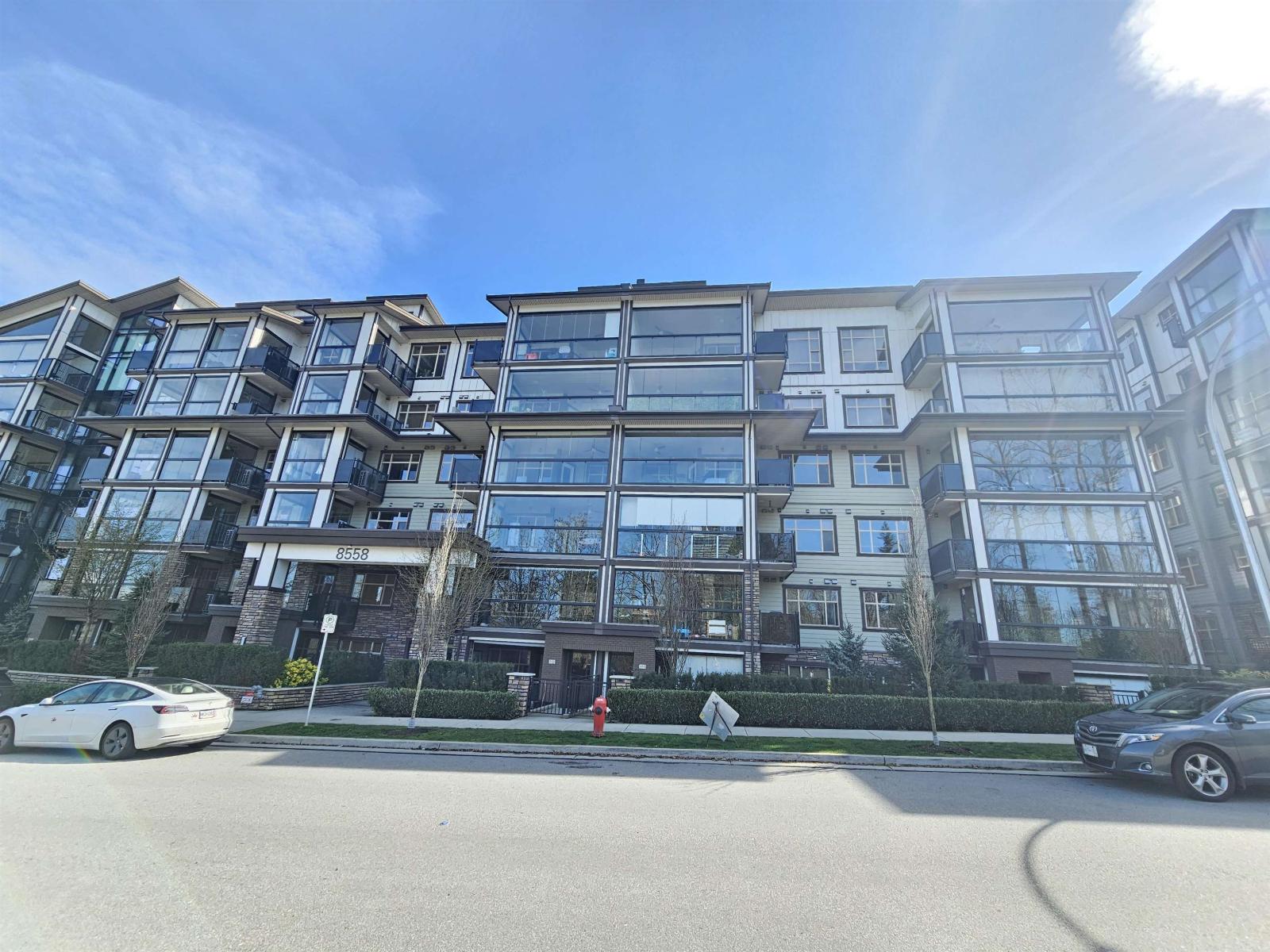 203 8558 202b Street, Langley, British Columbia  V2Y 3L4 - Photo 2 - R3108034