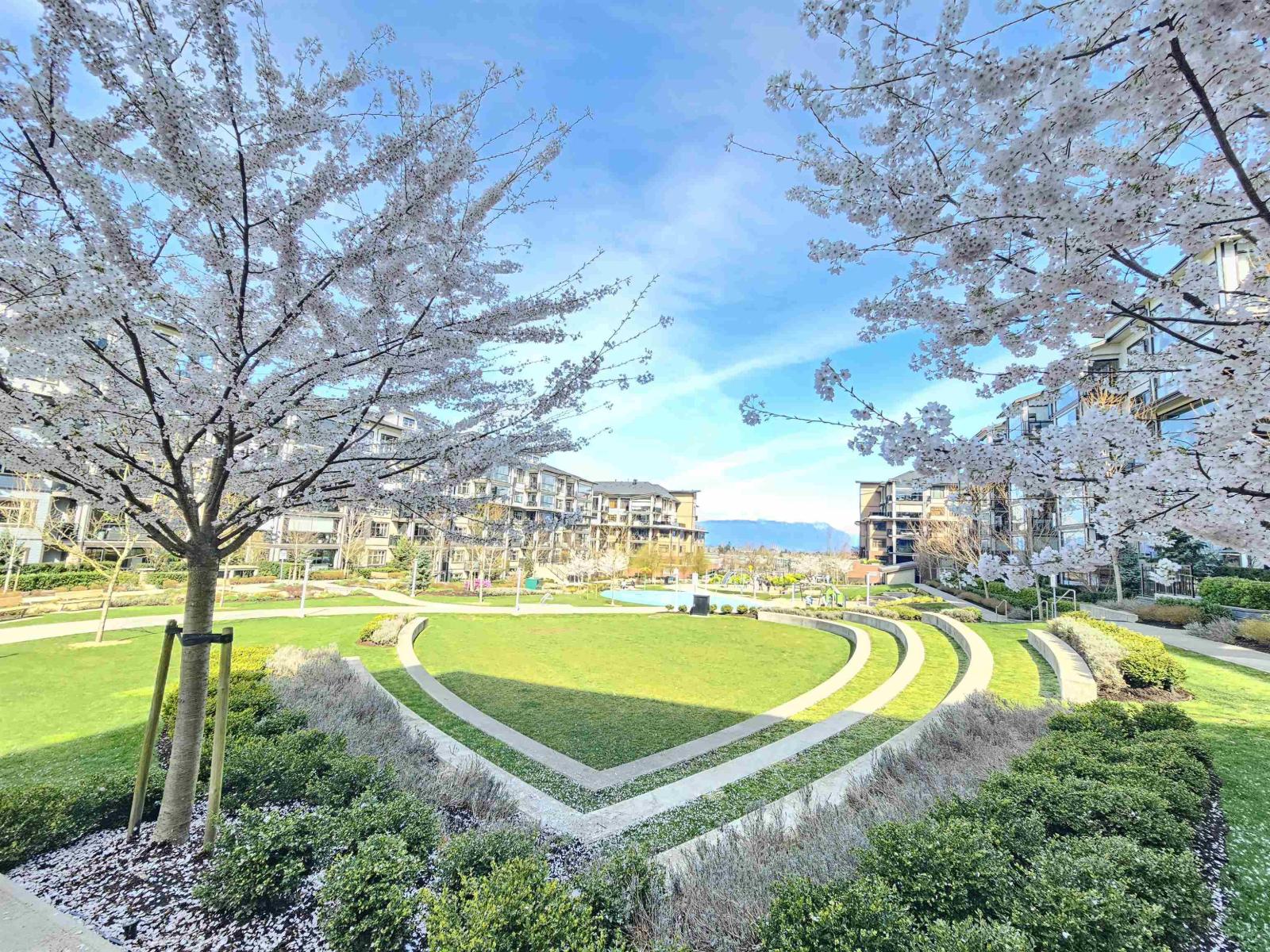 203 8558 202b Street, Langley, British Columbia  V2Y 3L4 - Photo 4 - R3108034