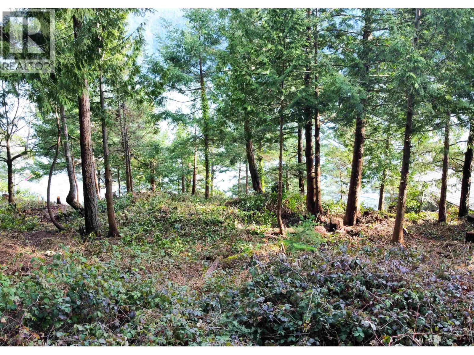 Lot 9 Collingwood Road, Keats Island, British Columbia  V0N 1V0 - Photo 16 - R3107880