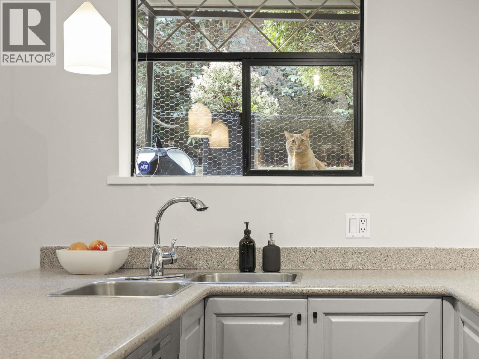 232 W 14th Avenue, Vancouver, British Columbia  V5Y 1X1 - Photo 29 - R3107954